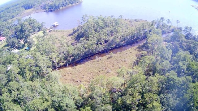 TBD Sparkleberry Ln, Freeport, FL 32439 - photo 2