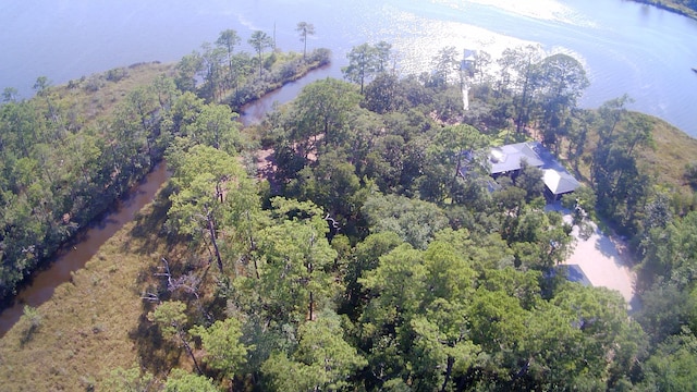TBD Sparkleberry Ln, Freeport, FL 32439 - photo 1