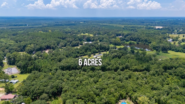 48 Cannon Dr, Laurel Hill, FL 32567 - photo 43