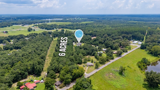 48 Cannon Dr, Laurel Hill, FL 32567 - photo 45