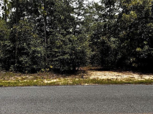 LOTS49/50 Trout Dr, Defuniak Springs, FL 32433 - photo 3