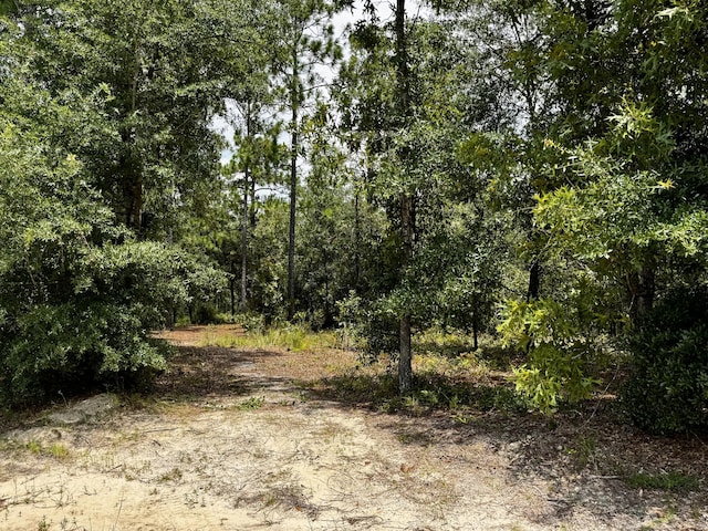 LOTS49/50 Trout Dr, Defuniak Springs, FL 32433 - photo 4