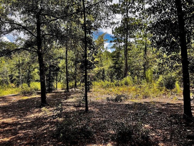 LOTS49/50 Trout Dr, Defuniak Springs, FL 32433 - photo 8