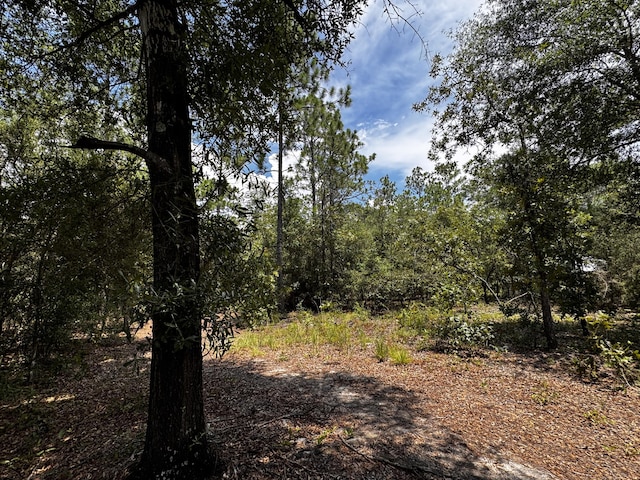 LOTS49/50 Trout Dr, Defuniak Springs, FL 32433 - photo 10