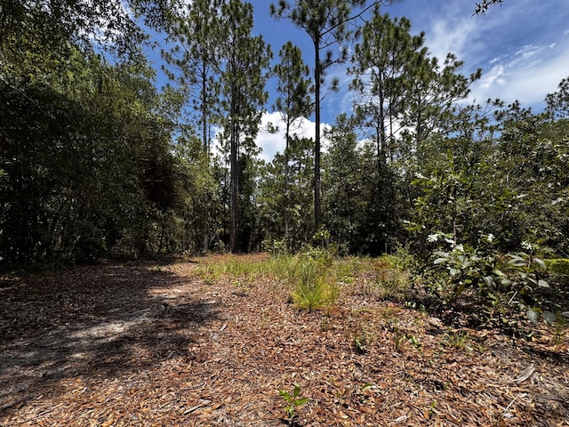 LOTS49/50 Trout Dr, Defuniak Springs, FL 32433 - photo 11