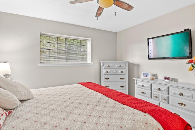 66 E Driftwood Bay Unit 41B, Miramar Beach, FL 32550 - photo 15