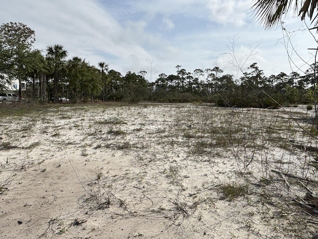 417 Windmark Way, Port St Joe, FL 32456 - photo 16