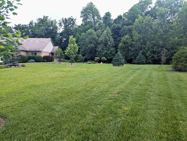 914 Winter Ridge Dr, Sidney, OH 45365 - photo 9