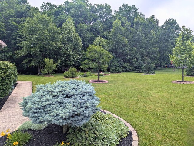 914 Winter Ridge Dr, Sidney, OH 45365 - photo 65