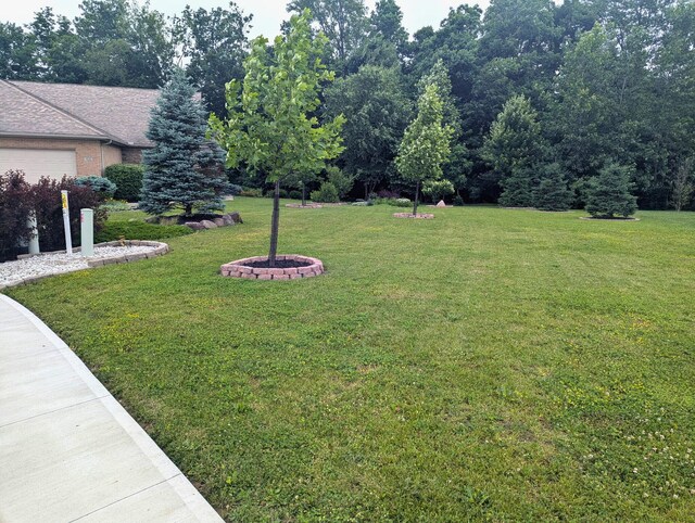914 Winter Ridge Dr, Sidney, OH 45365 - photo 8
