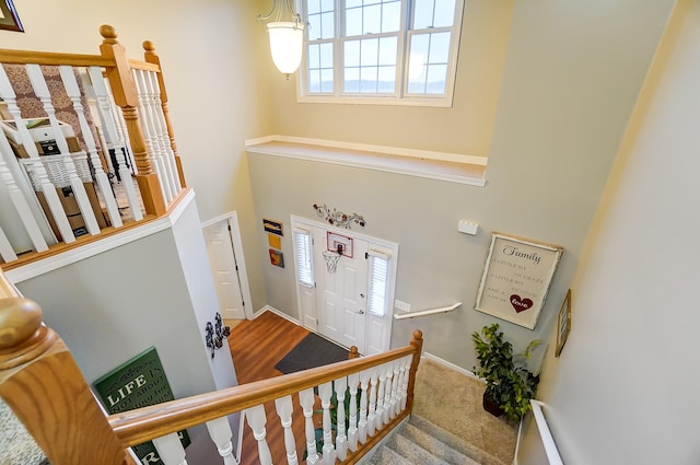 entrance foyer featuring a high ceiling and carpet