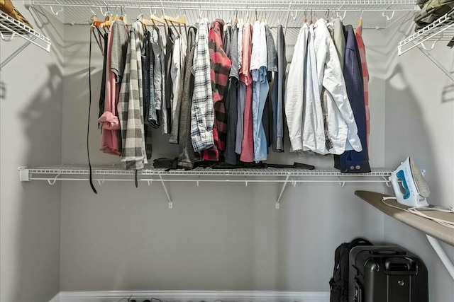 view of spacious closet