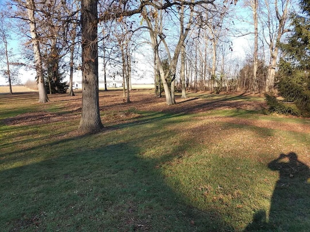 11851 Sanders Rd, Richwood, OH 43344 - view of yard