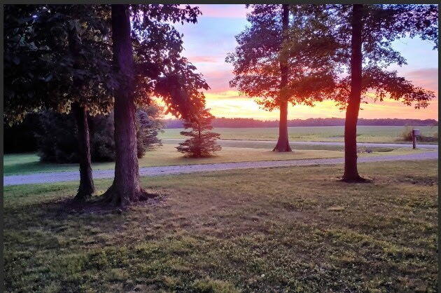 11851 Sanders Rd, Richwood, OH 43344 - view of yard at dusk