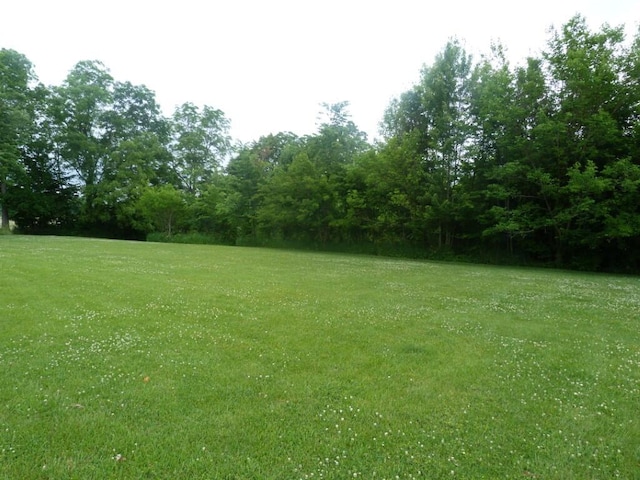 727 County Road 50, Ada, OH 45810 - view of grassy yard