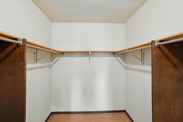 1985 Fox Run, Troy, OH 45373 - walk in closet with carpet flooring