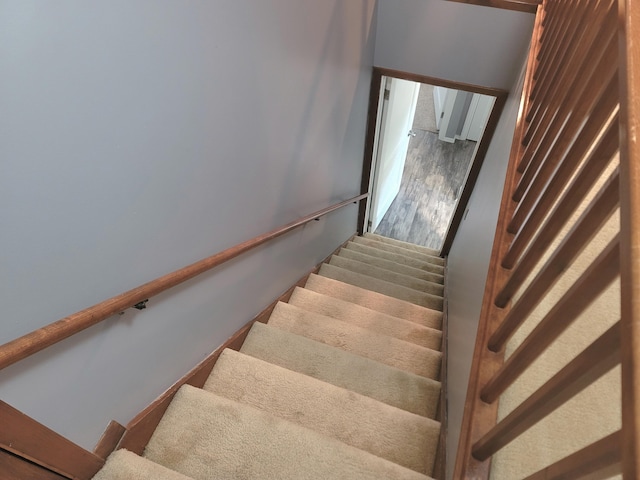 102 Zillah St, Celina, OH 45822 - photo 17