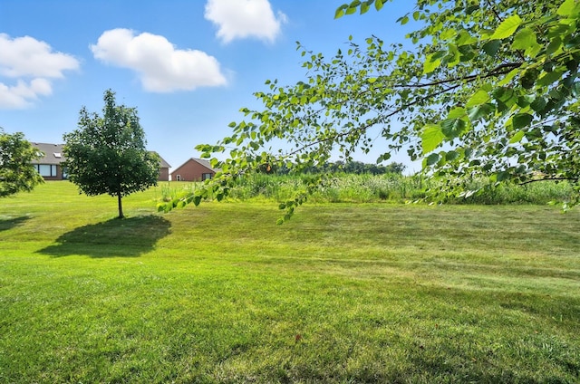 1836 Dunseth Ln, Springfield, OH 45503 - photo 34
