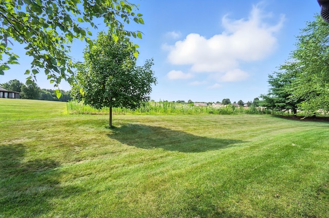 1836 Dunseth Ln, Springfield, OH 45503 - photo 33