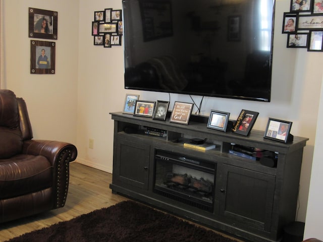 living room featuring wood-type flooring