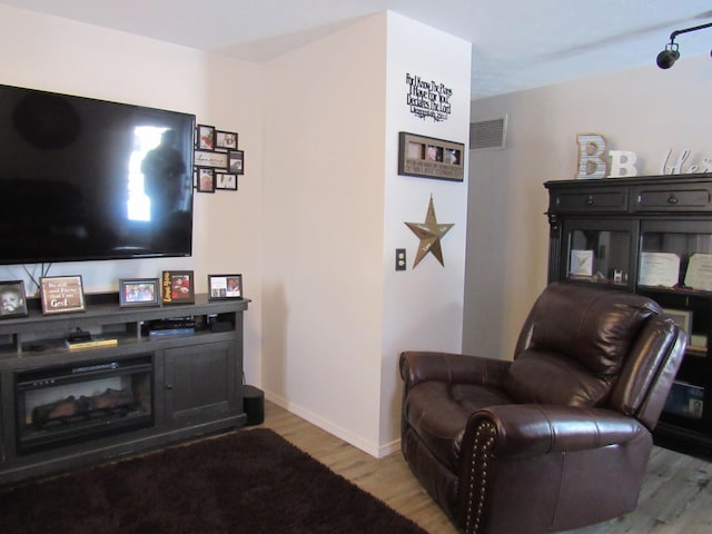 living room featuring light hardwood / wood-style flooring