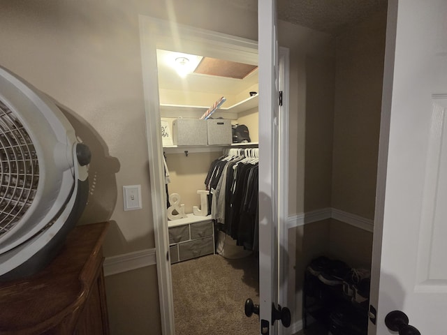 314 Concord Ave, Saint Marys, OH 45885 - walk in closet with carpet floors