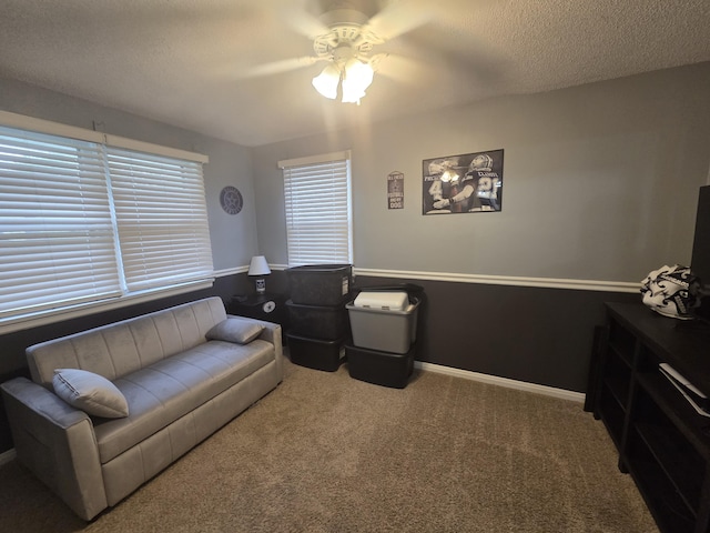 314 Concord Ave, Saint Marys, OH 45885 - living area with carpet flooring, a ceiling fan, and a textured ceiling