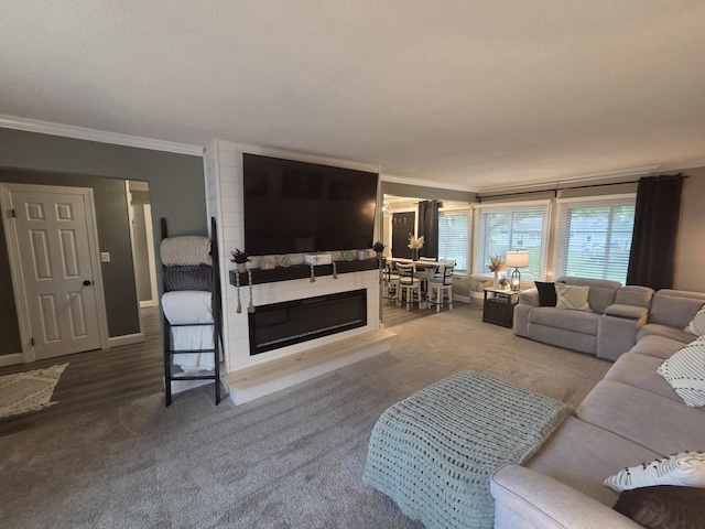 314 Concord Ave, Saint Marys, OH 45885 - living area with ornamental molding, carpet flooring, and a glass covered fireplace