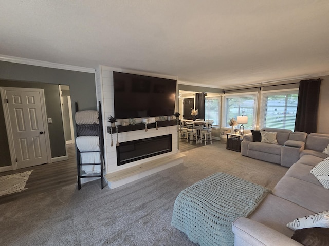 314 Concord Ave, Saint Marys, OH 45885 - living room featuring crown molding and carpet floors