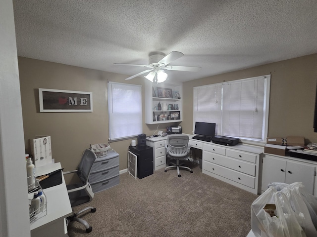 314 Concord Ave, Saint Marys, OH 45885 - carpeted home office with ceiling fan and a textured ceiling