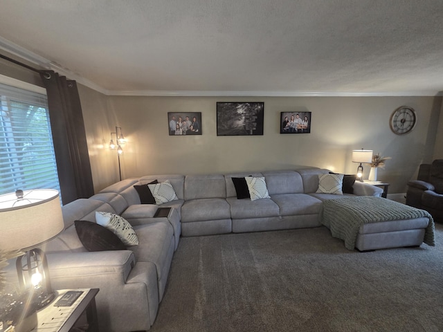 314 Concord Ave, Saint Marys, OH 45885 - carpeted living area with ornamental molding