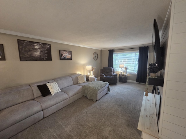 314 Concord Ave, Saint Marys, OH 45885 - living room with crown molding and carpet