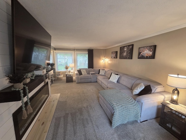 314 Concord Ave, Saint Marys, OH 45885 - carpeted living room with ornamental molding and a textured ceiling