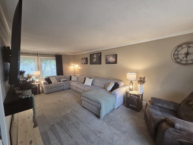314 Concord Ave, Saint Marys, OH 45885 - living room with crown molding, a textured ceiling, and carpet flooring