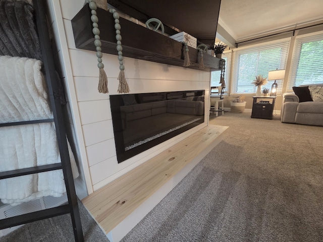 314 Concord Ave, Saint Marys, OH 45885 - detailed view of carpet and a glass covered fireplace