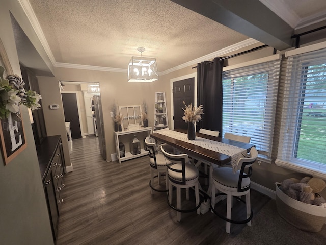 314 Concord Ave, Saint Marys, OH 45885 - dining area with plenty of natural light, crown molding, a textured ceiling, dark wood-type flooring, and baseboards