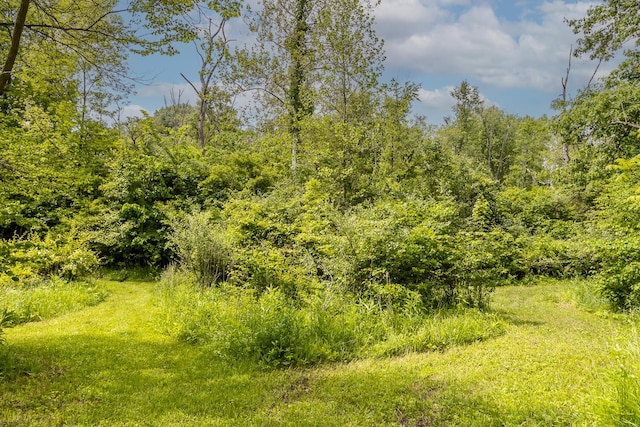 6350 Arcanum Bears Mill Rd, Greenville, OH 45331 - photo 99