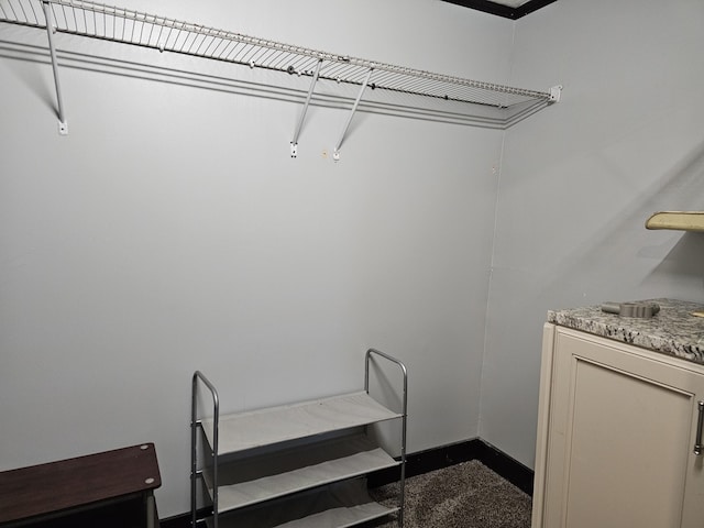 2 E Main St, Fletcher, OH 45326 - view of walk in closet