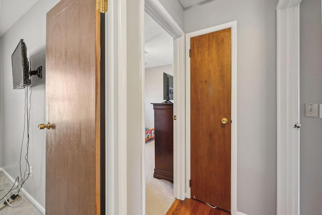 1405 Providence Ave, Springfield, OH 45503 - hall featuring baseboards and wood finished floors