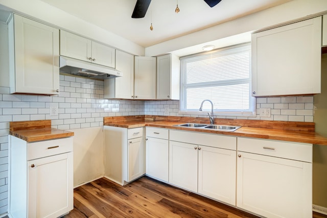 kitchen with butcher block countertops, under cabinet range hood, a sink, light wood-style floors, and ceiling fan