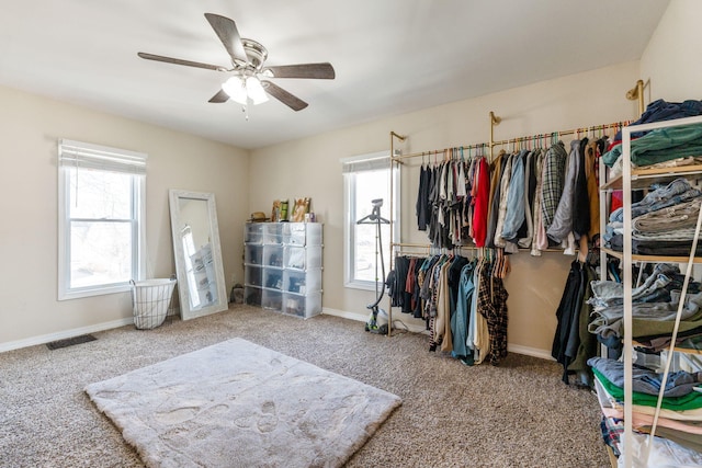 spacious closet featuring visible vents, carpet floors, and a ceiling fan