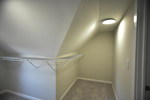 walk in closet featuring carpet and vaulted ceiling