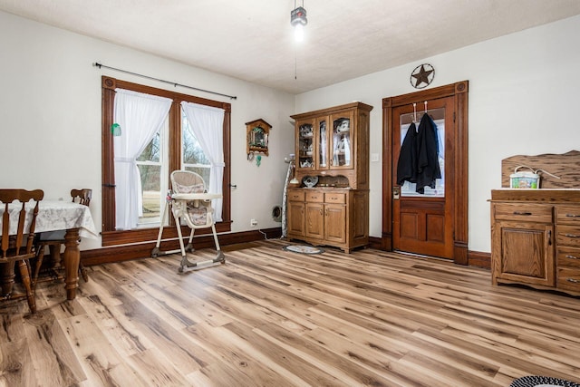 interior space with light wood-type flooring