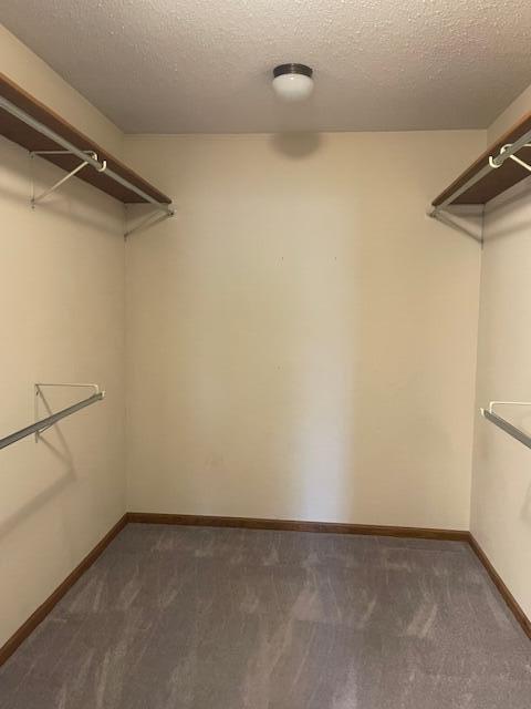 450 Yale Ave, Lima, OH 45804 - spacious closet with dark carpet