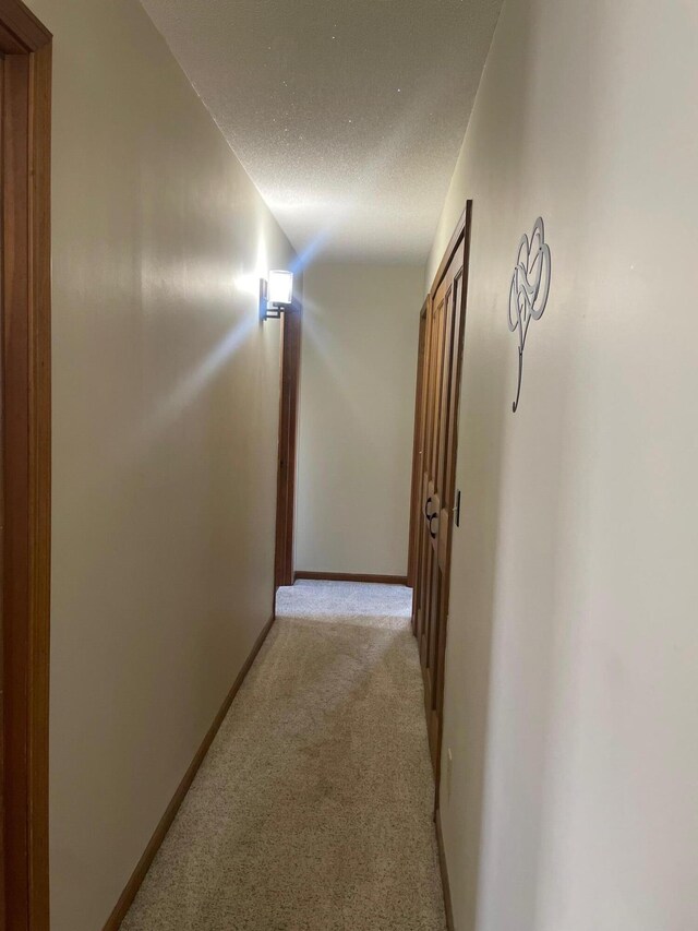 450 Yale Ave, Lima, OH 45804 - hall with light colored carpet, a textured ceiling, and baseboards
