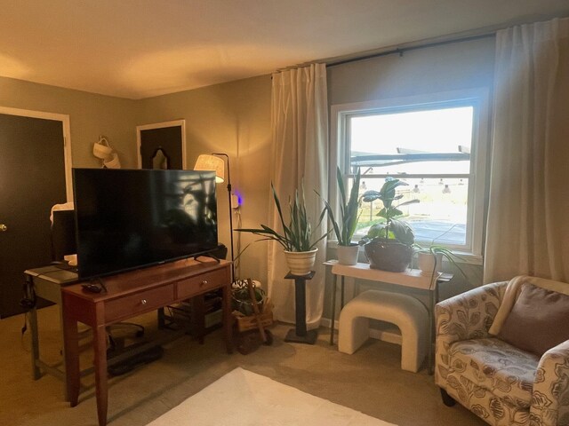 450 Yale Ave, Lima, OH 45804 - living area with carpet flooring