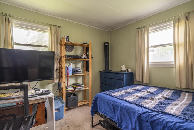 5385 Woodbine Ave, Dayton, OH 45432 - carpeted bedroom featuring crown molding and an office area