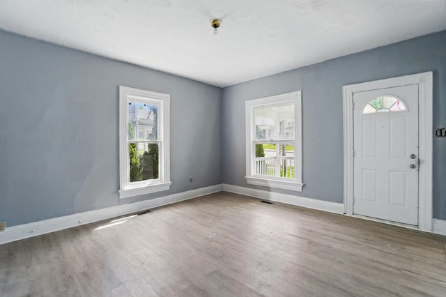 foyer entrance with baseboards, wood finished floors, and plenty of natural light