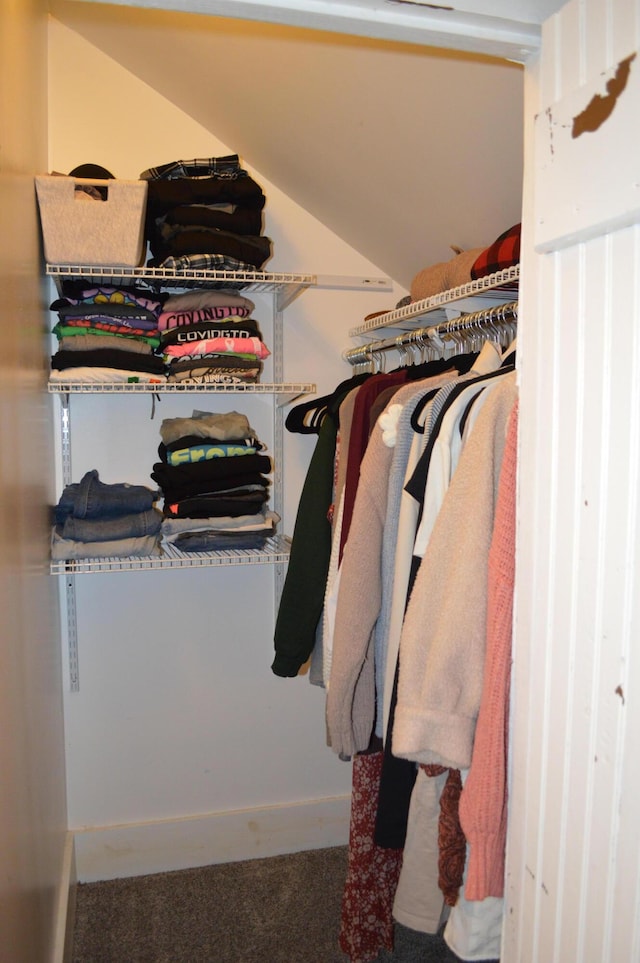 spacious closet with vaulted ceiling and carpet