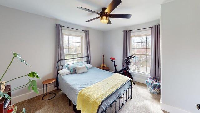 bedroom featuring carpet floors, a ceiling fan, baseboards, and multiple windows